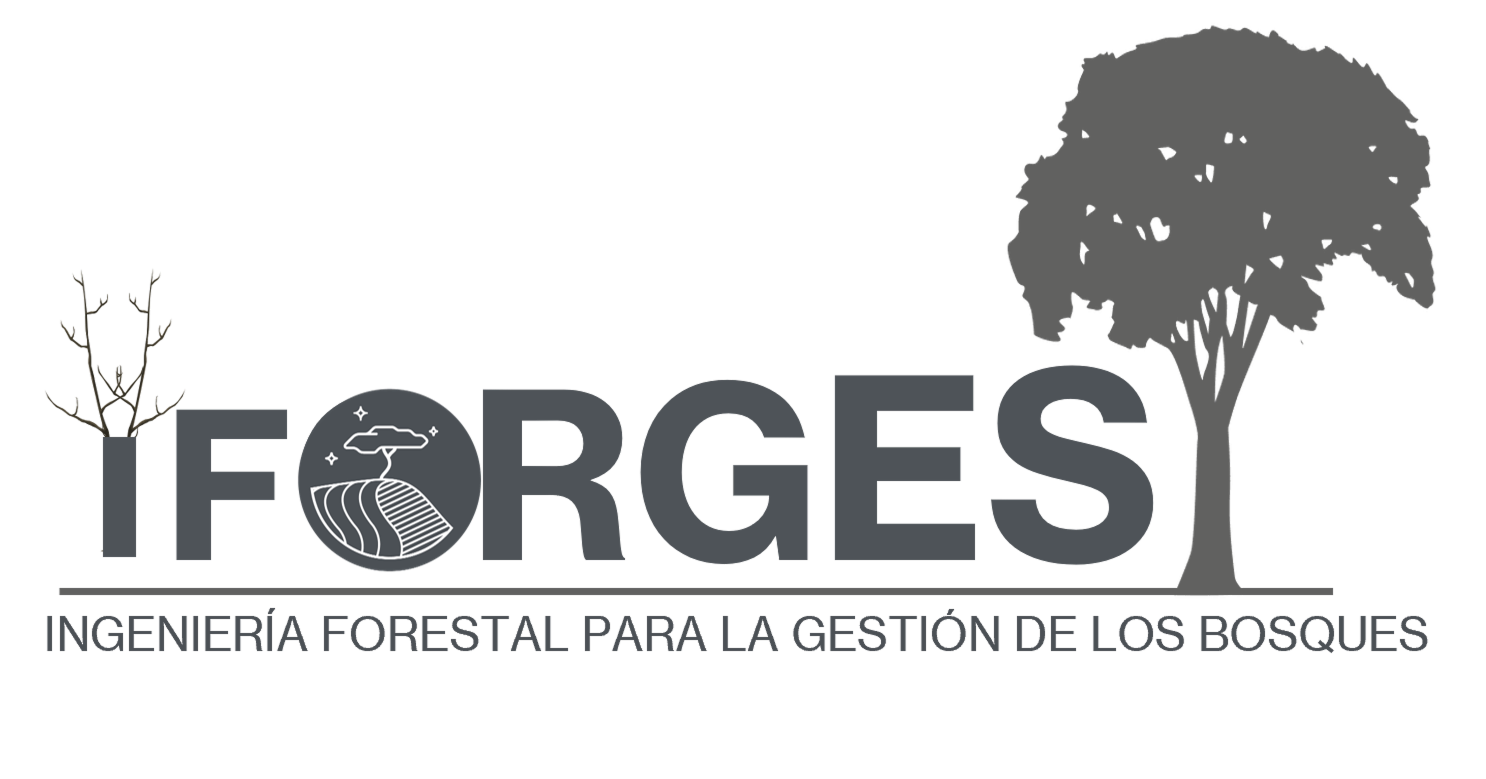Colaboración técnica · IFORGEST
