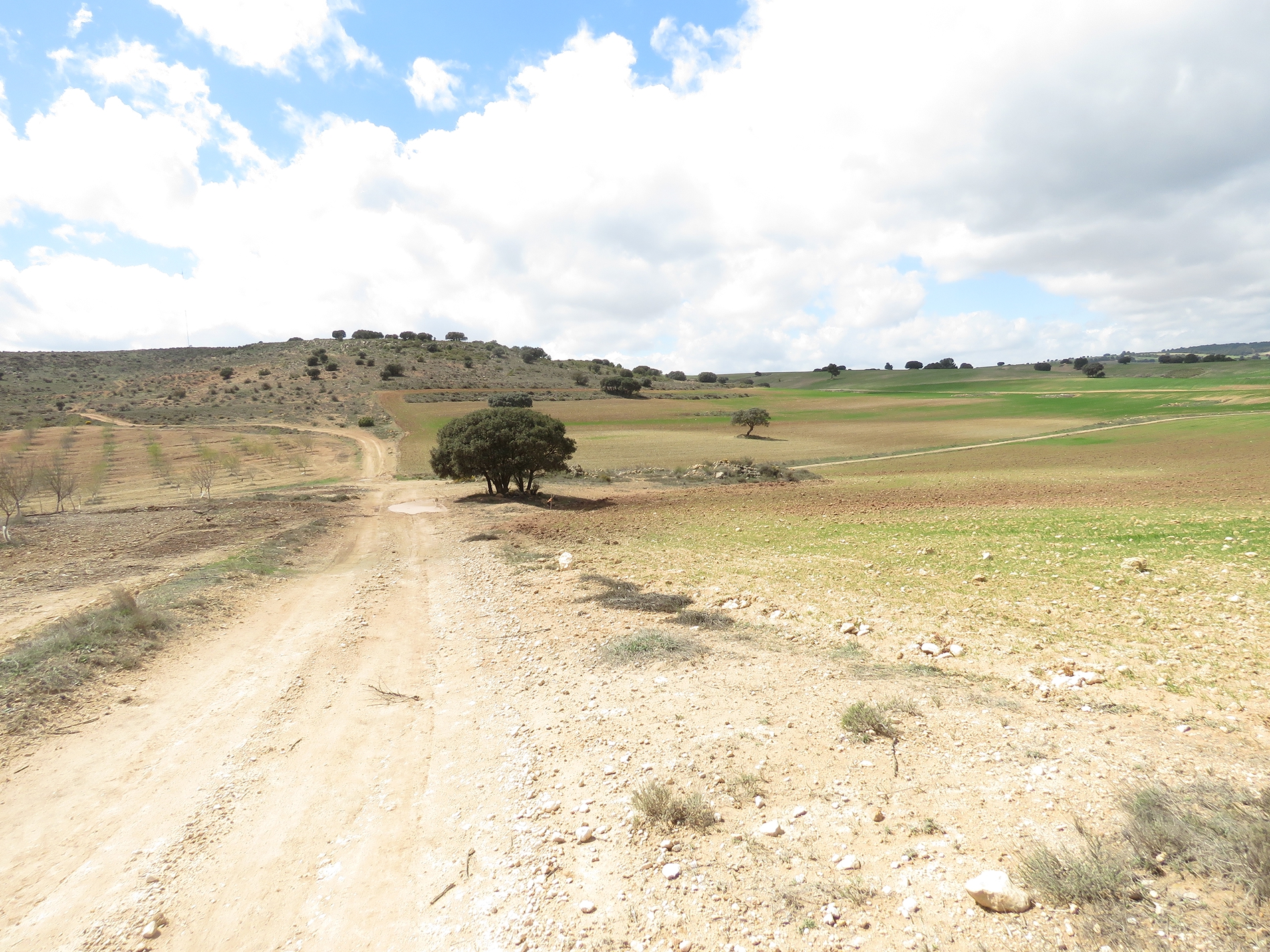 Altiplano Ecosystem Restoration