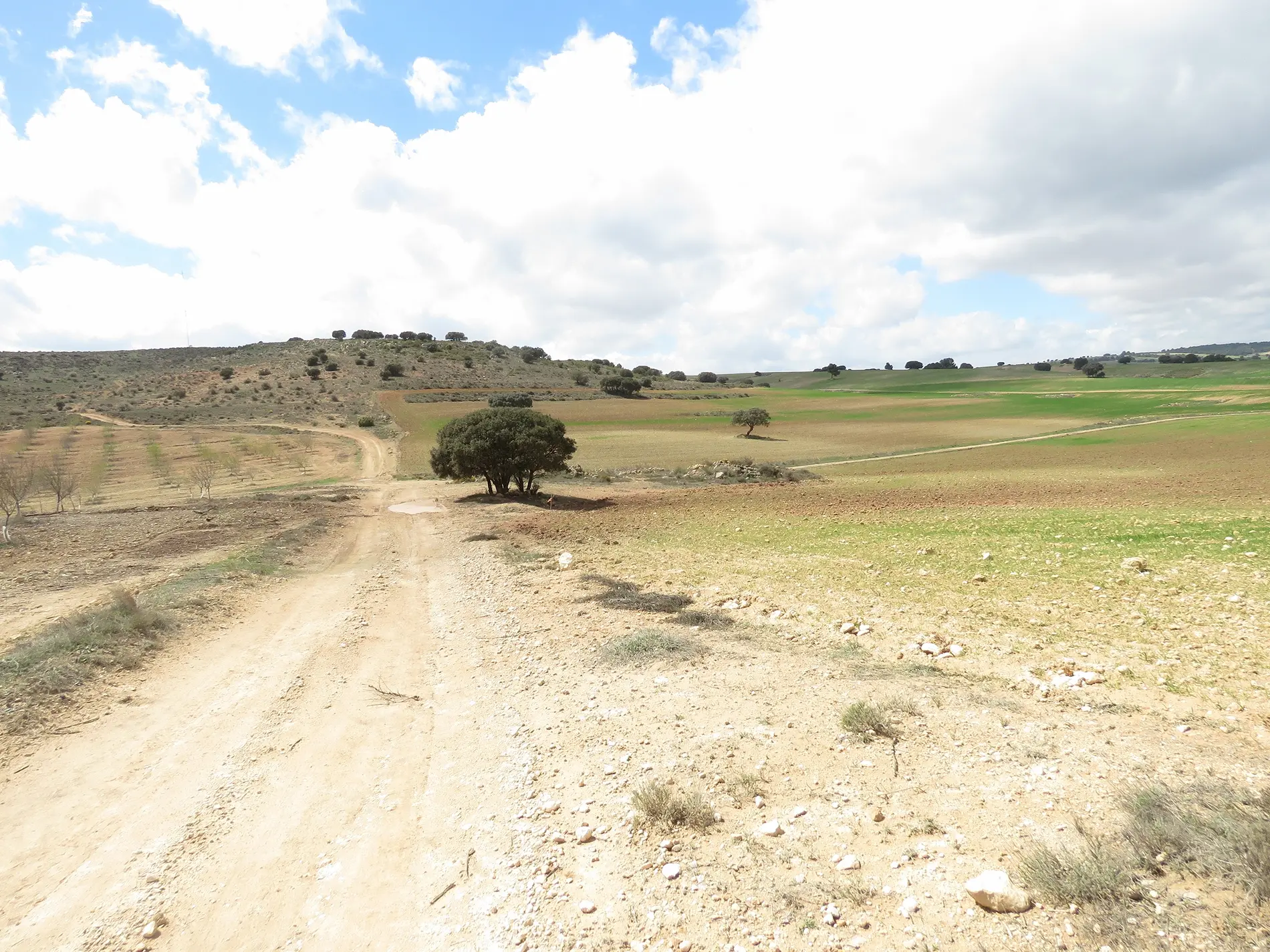Restauración del Ecosistema del Altiplano
