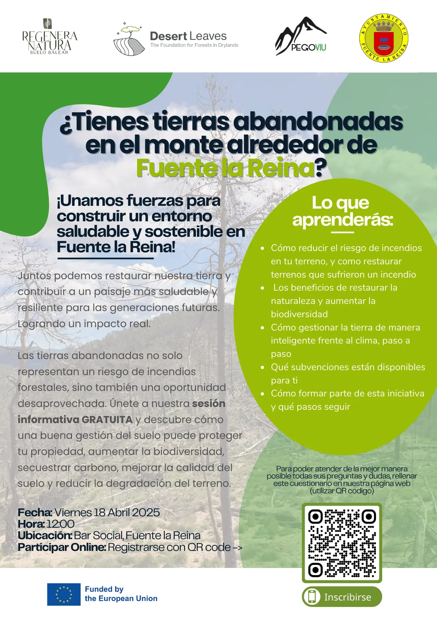 Flyer Fuente la Reina