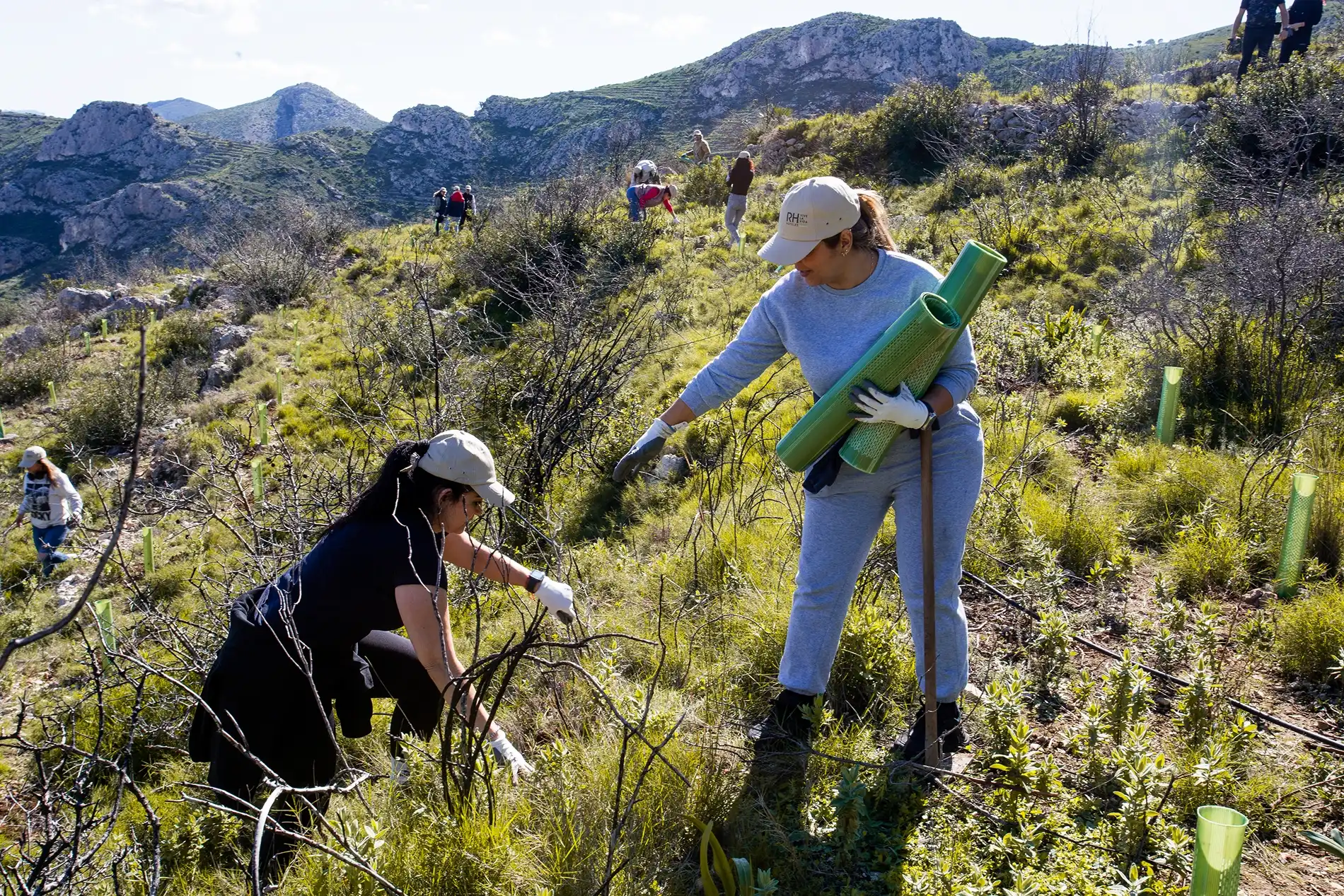 RH Hotels Employees during a Team Building Planting Day