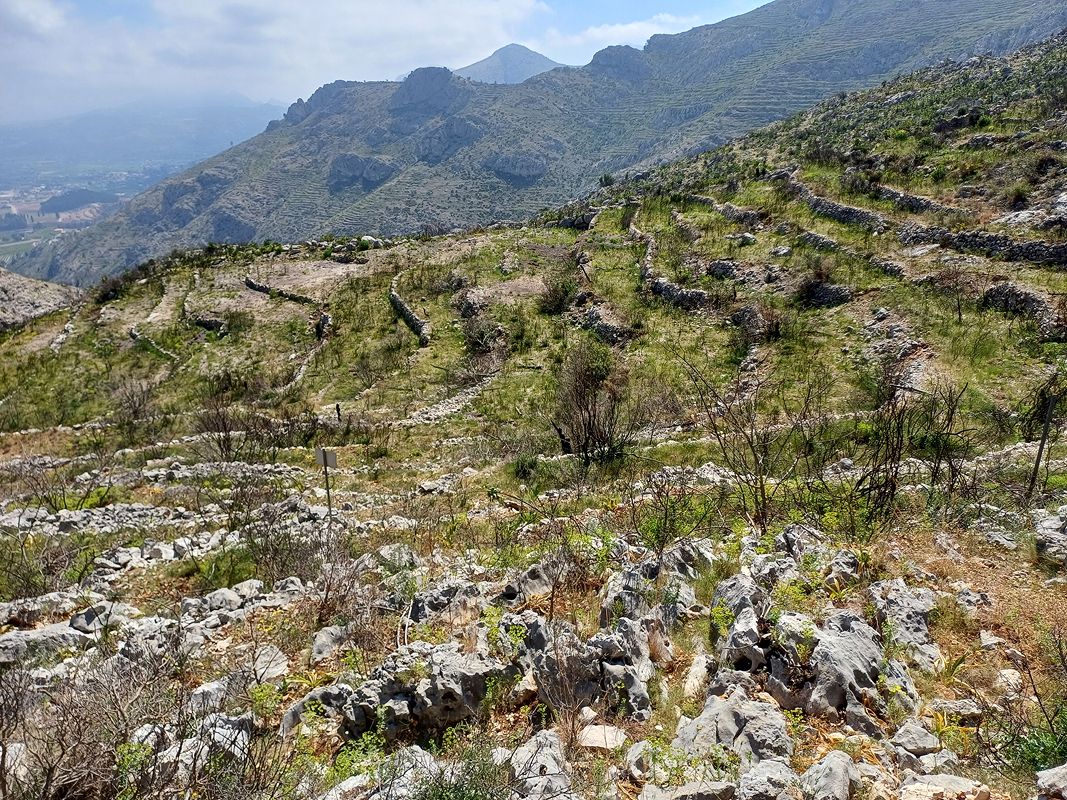 Marina Alta Landscape
