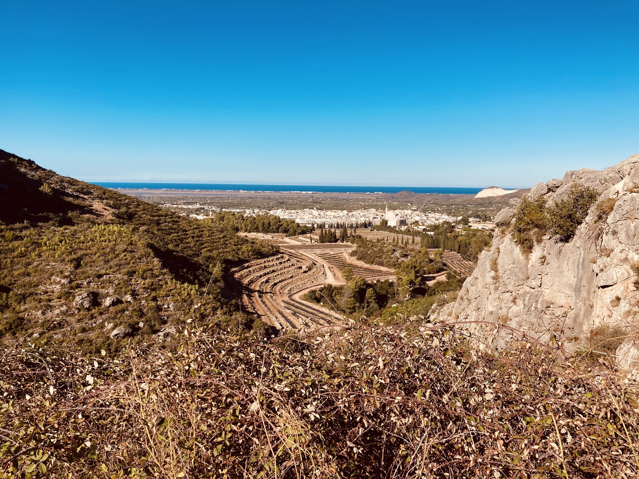Marina Alta Ecosystem Restoration
