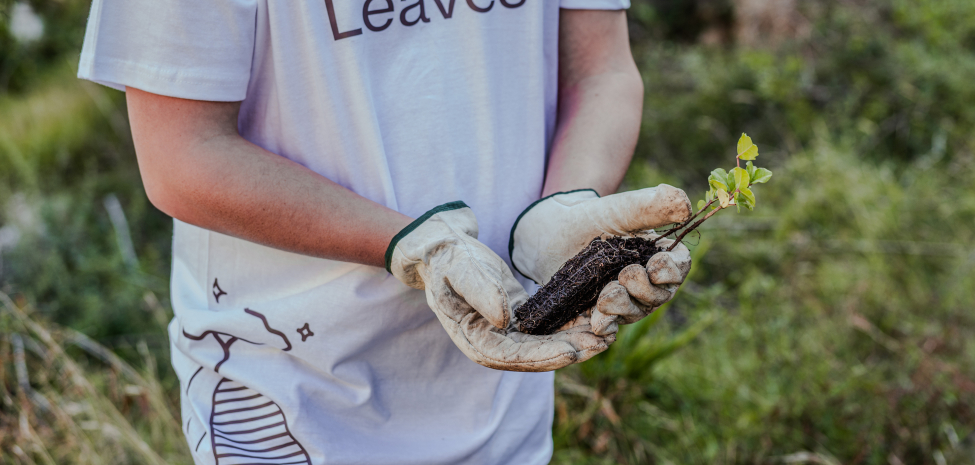 Desert Leaves Volunteer holding a tree to plant