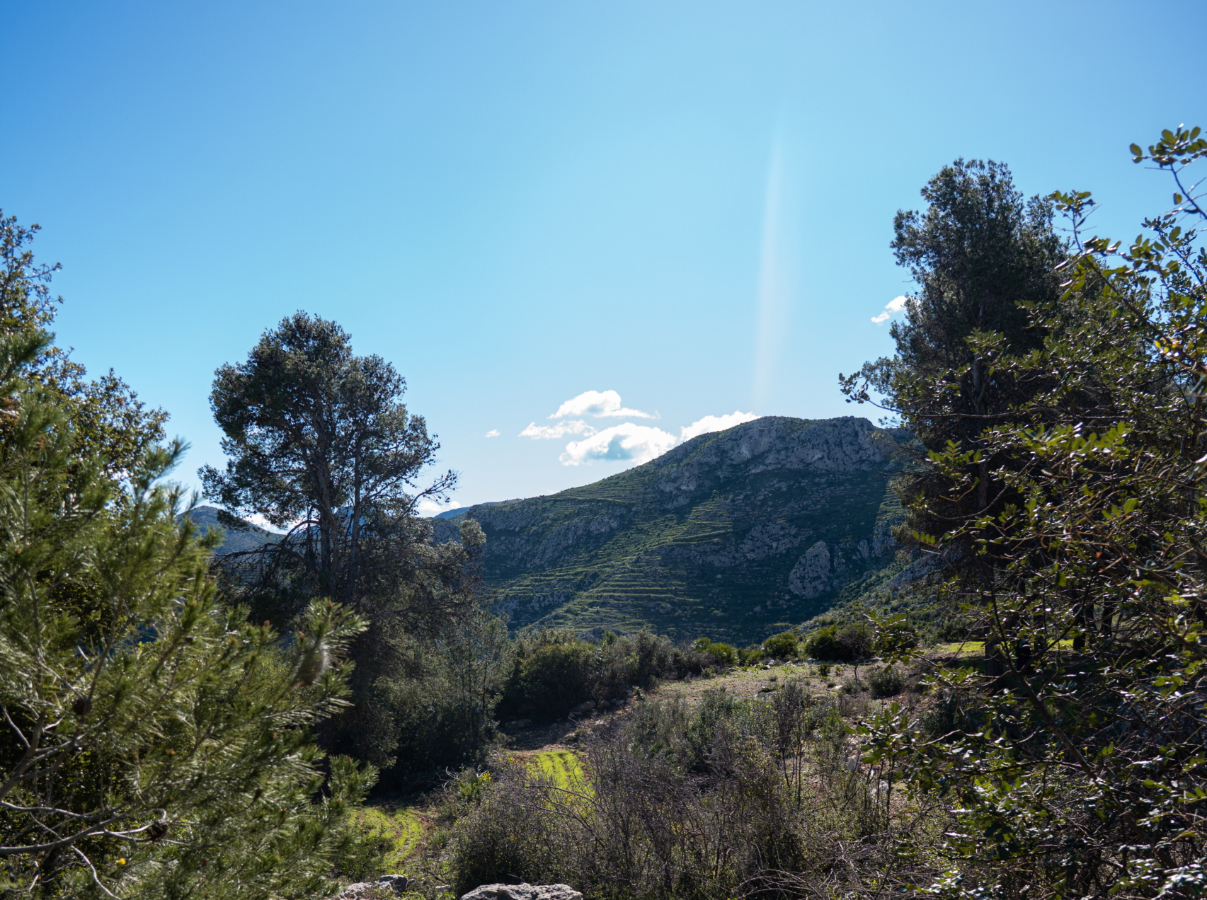 Resources and knowledge sharing - Forest Landscape